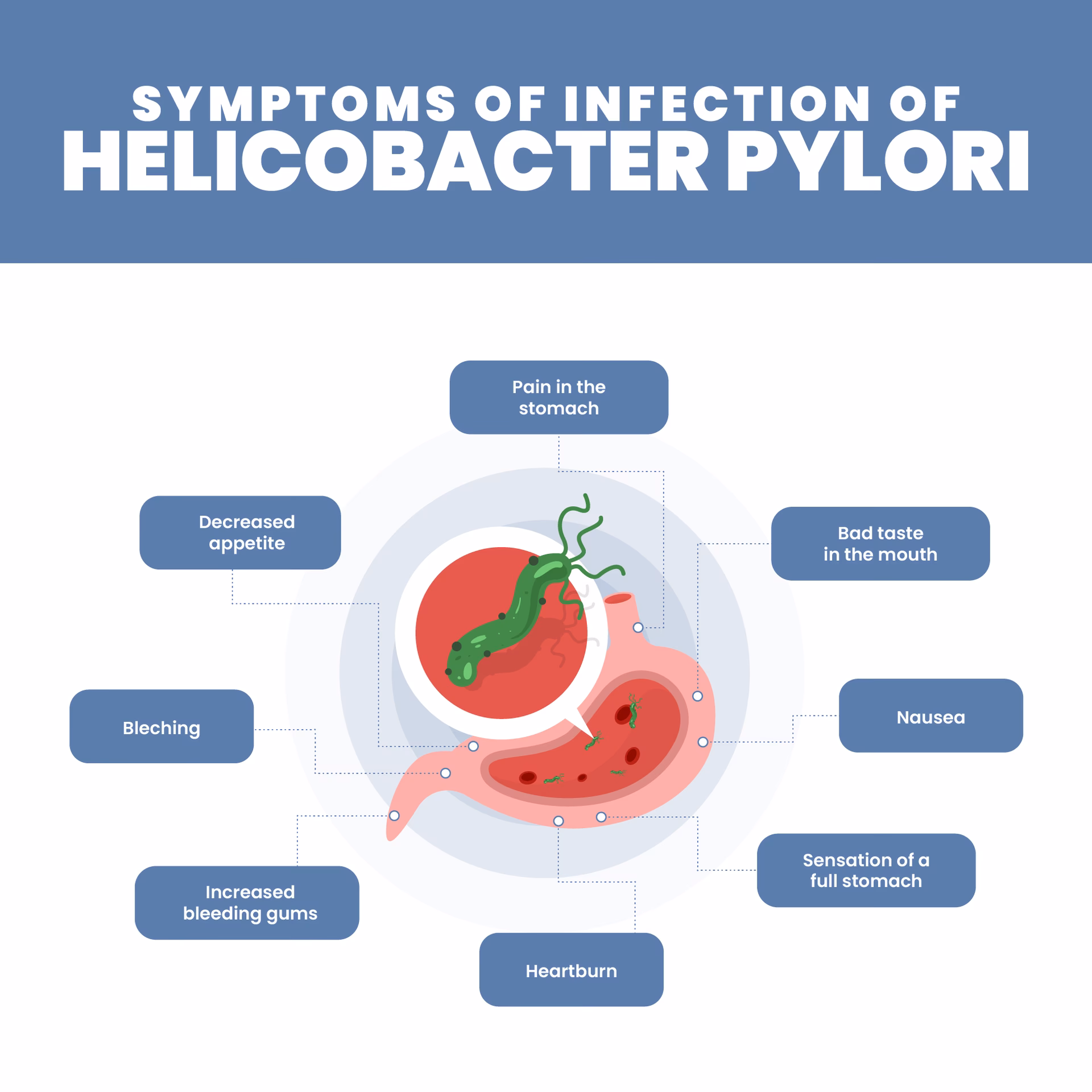 What happens if H pylori is not treated?