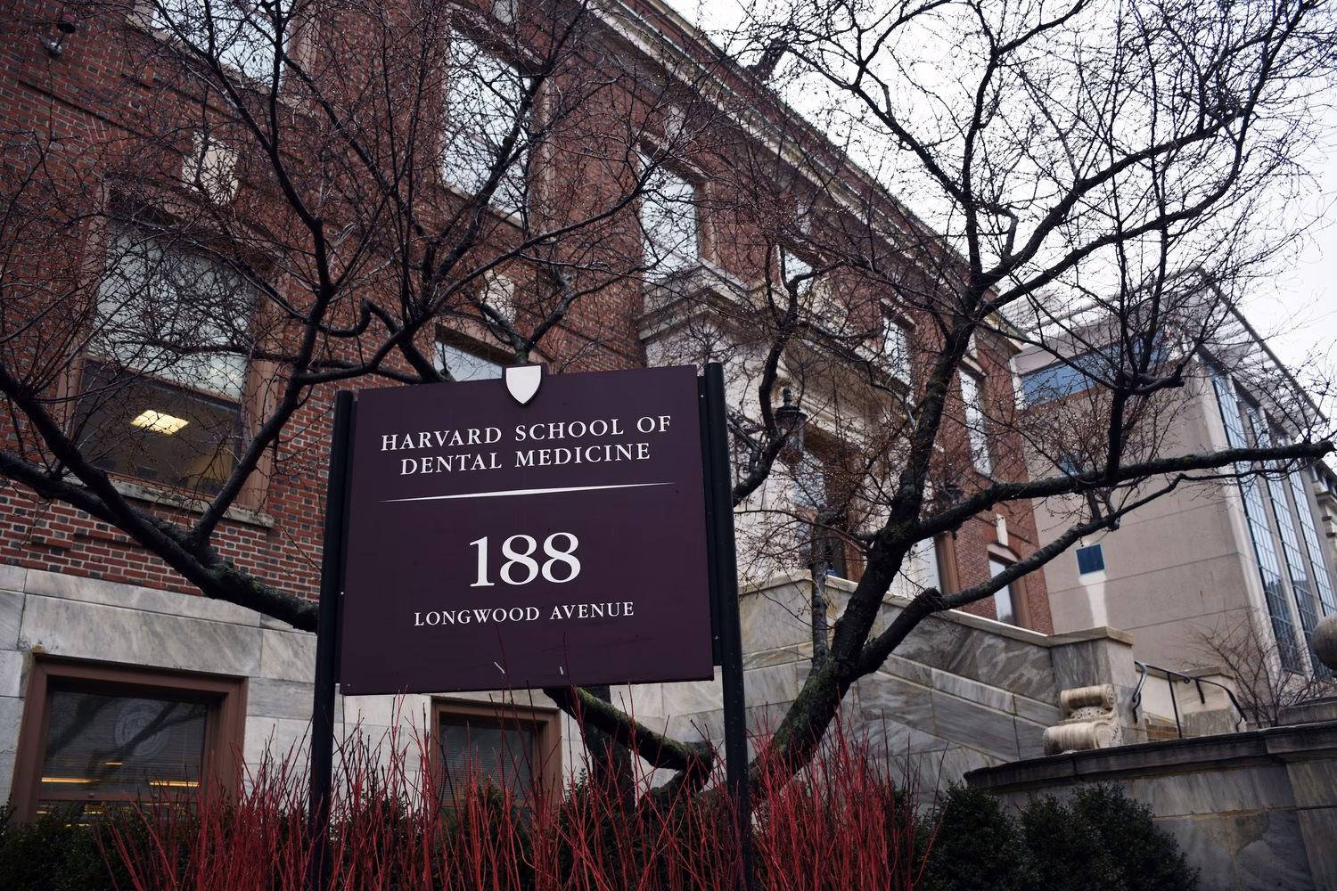 What is Harvard School of Dental Medicine (HDSM)?
