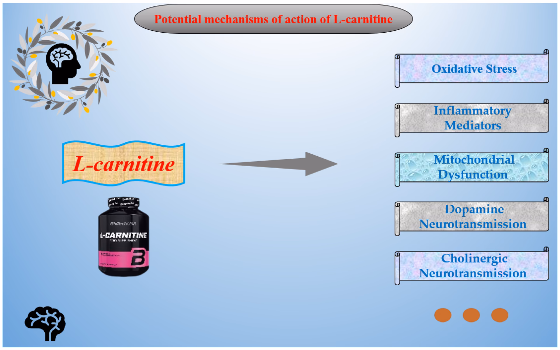 Does carnitine help with migraine?