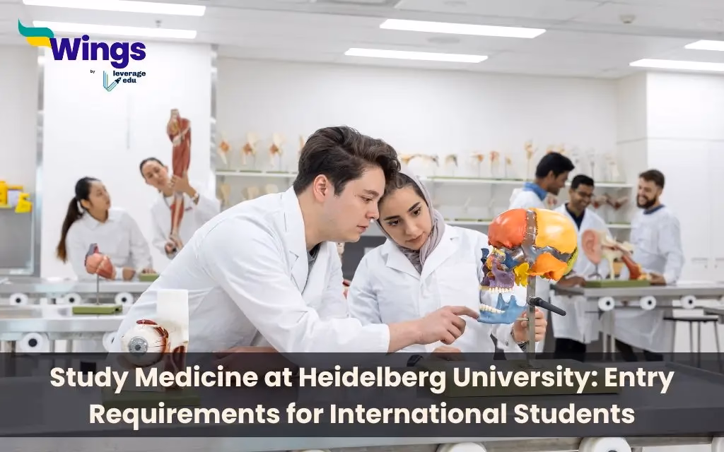 How do international students apply for study programmes at Heidelberg University?