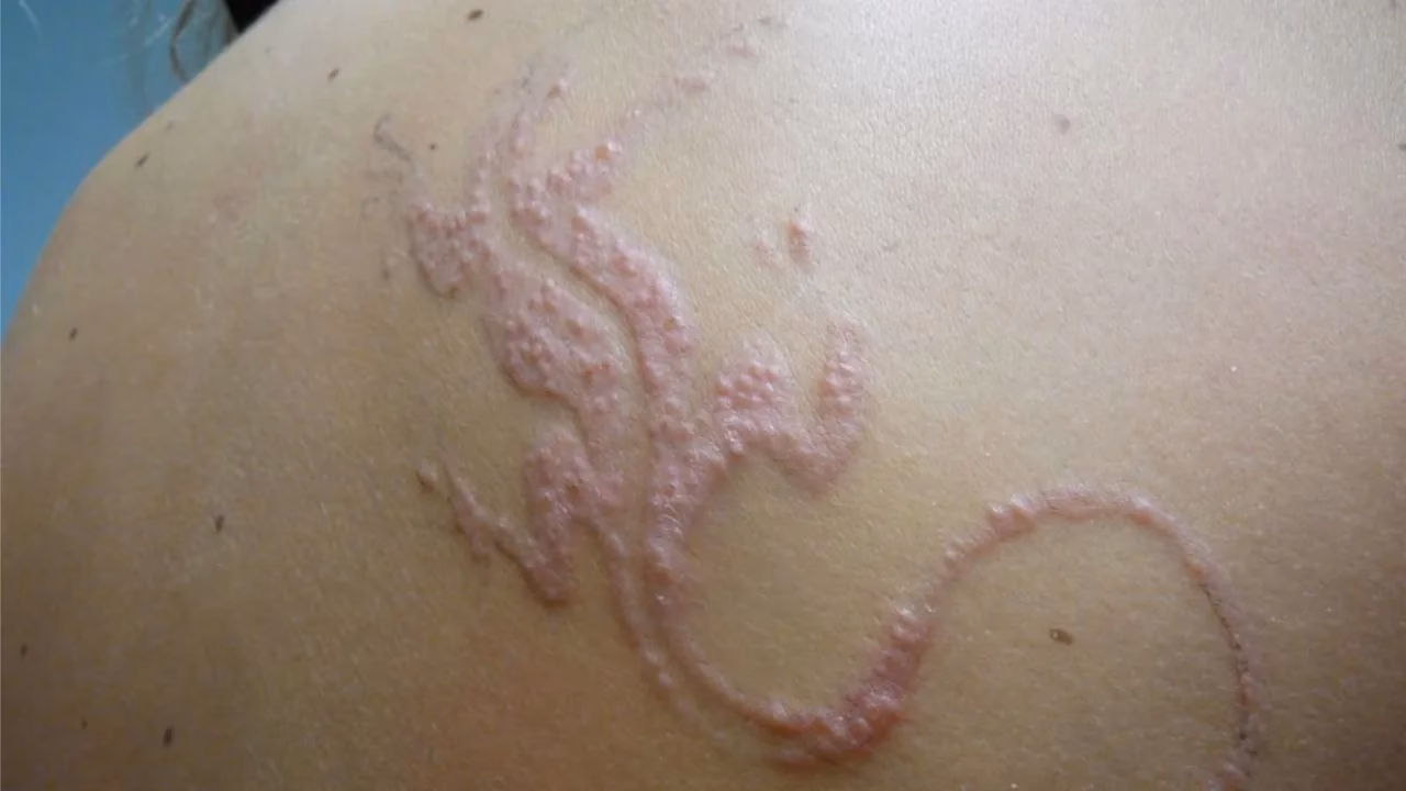 Was ist ein Henna Tattoo?