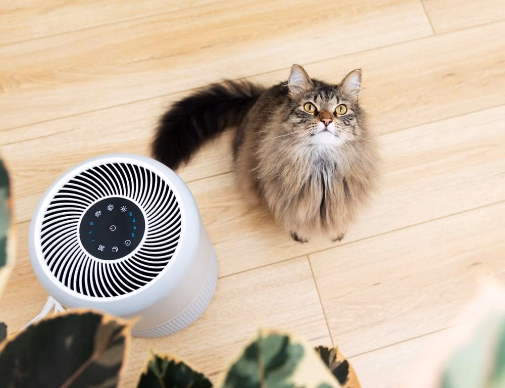 What is the best HEPA air purifier for pet allergies?