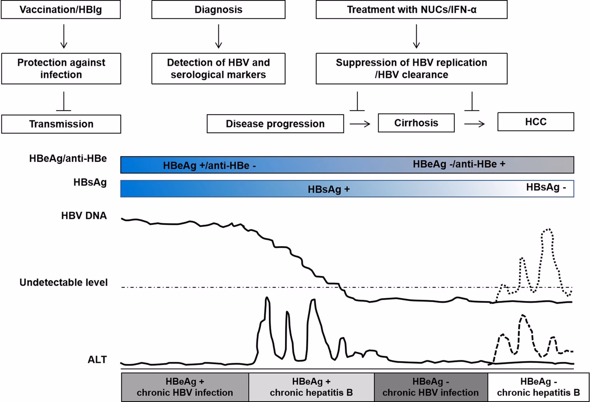 What is a recombinant genotype of hepatitis?