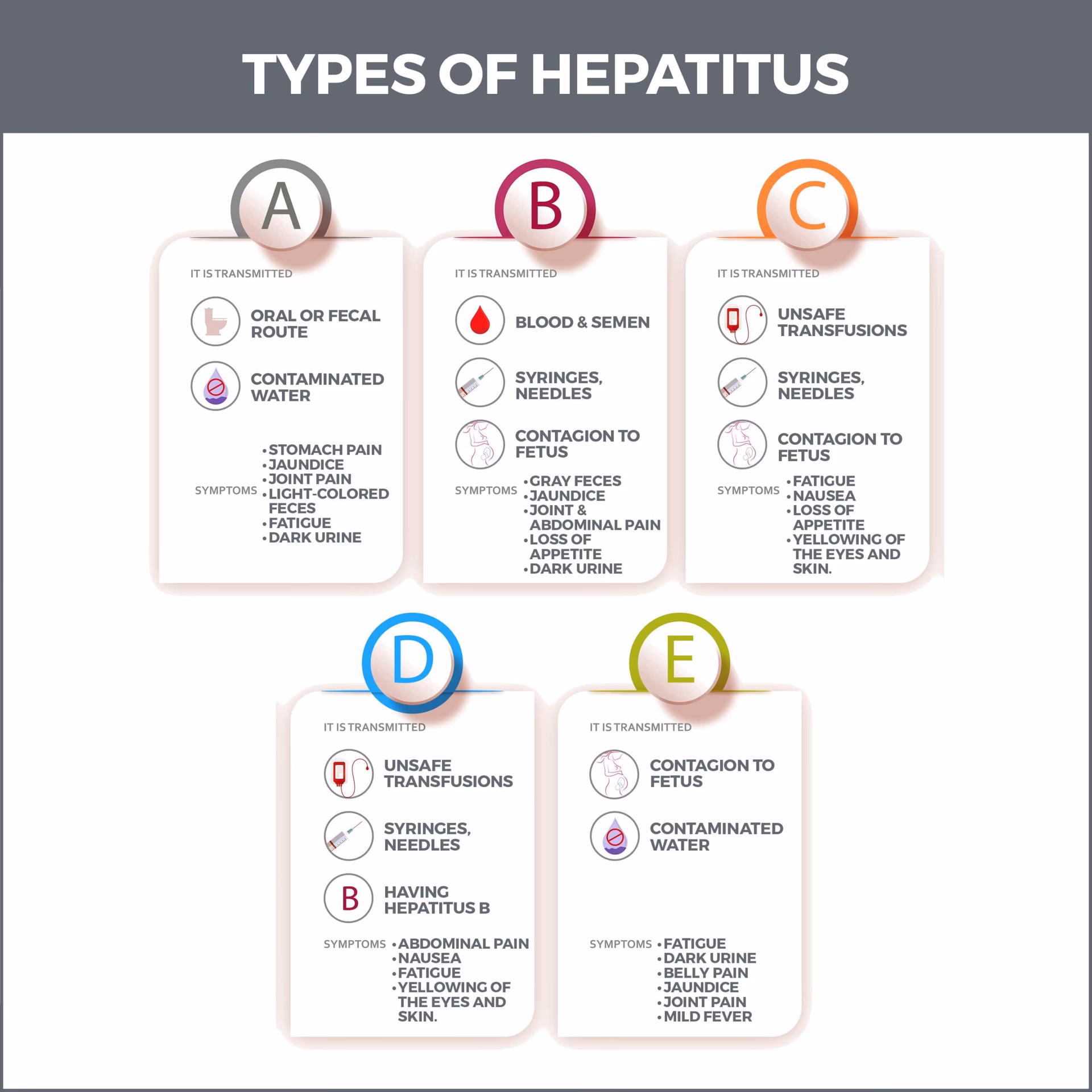 What is type 2 autoimmune hepatitis?