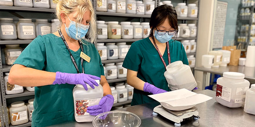 Where can I learn western herbal medicine online?