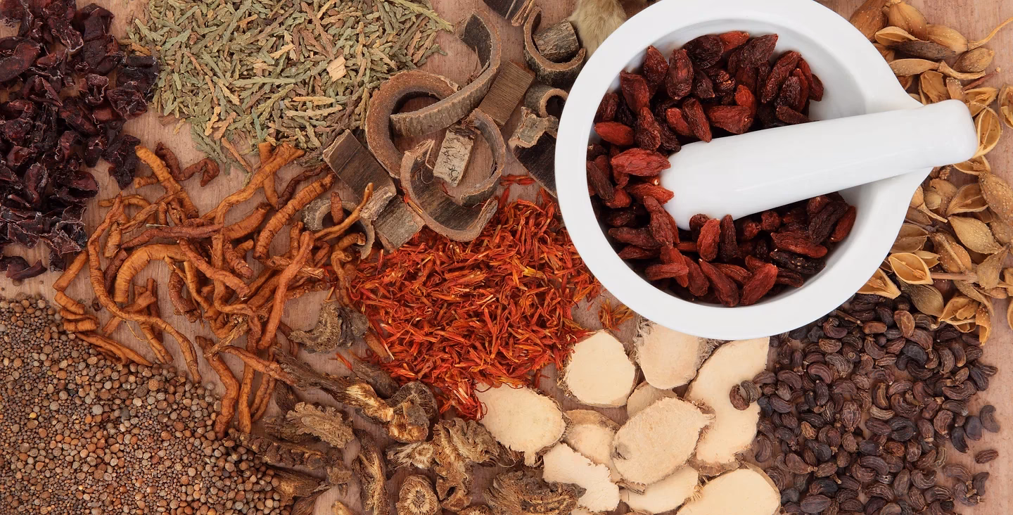 What is a Herbal Therapist?