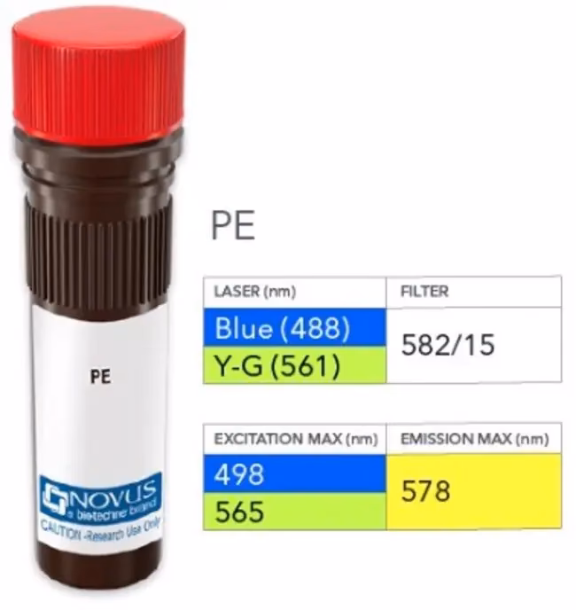 How many types of herpes are there?