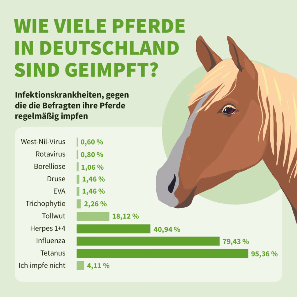 Wie macht sich Herpes beim Pferd bemerkbar?