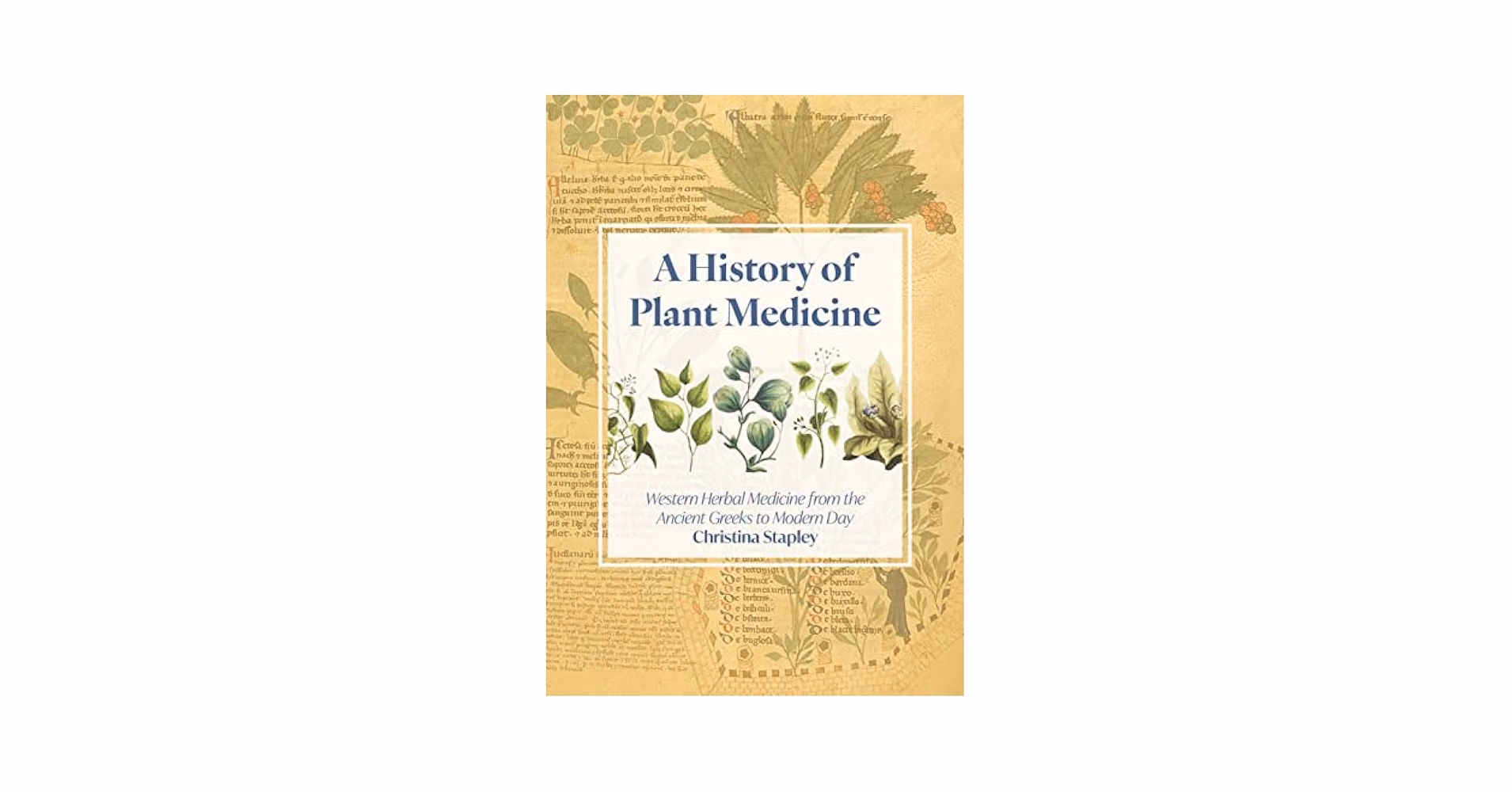 Can plant medicine survive in the Amazon rainforest?