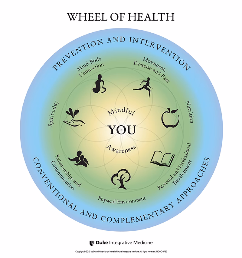 What is holistic medicine?