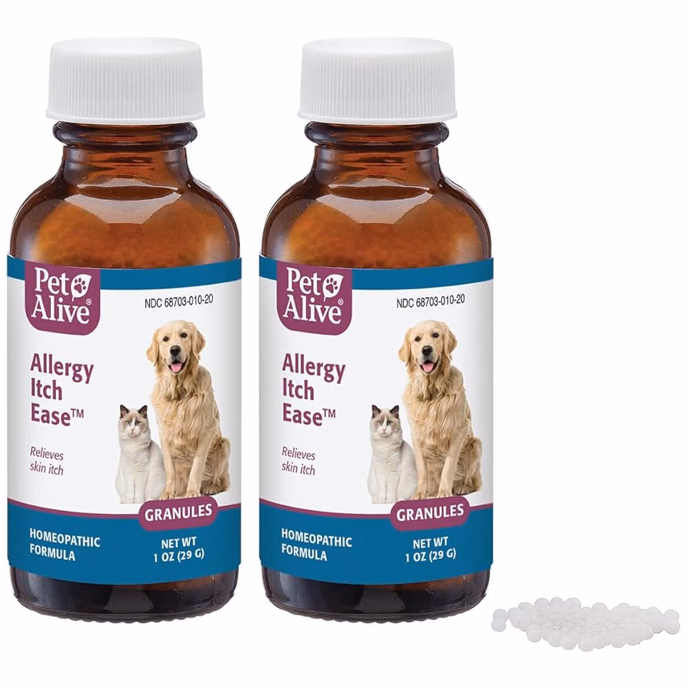 Can homeopathy help a dog with allergies?