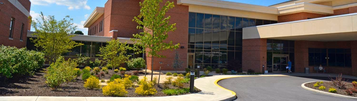 What should a hospital landscape look like?