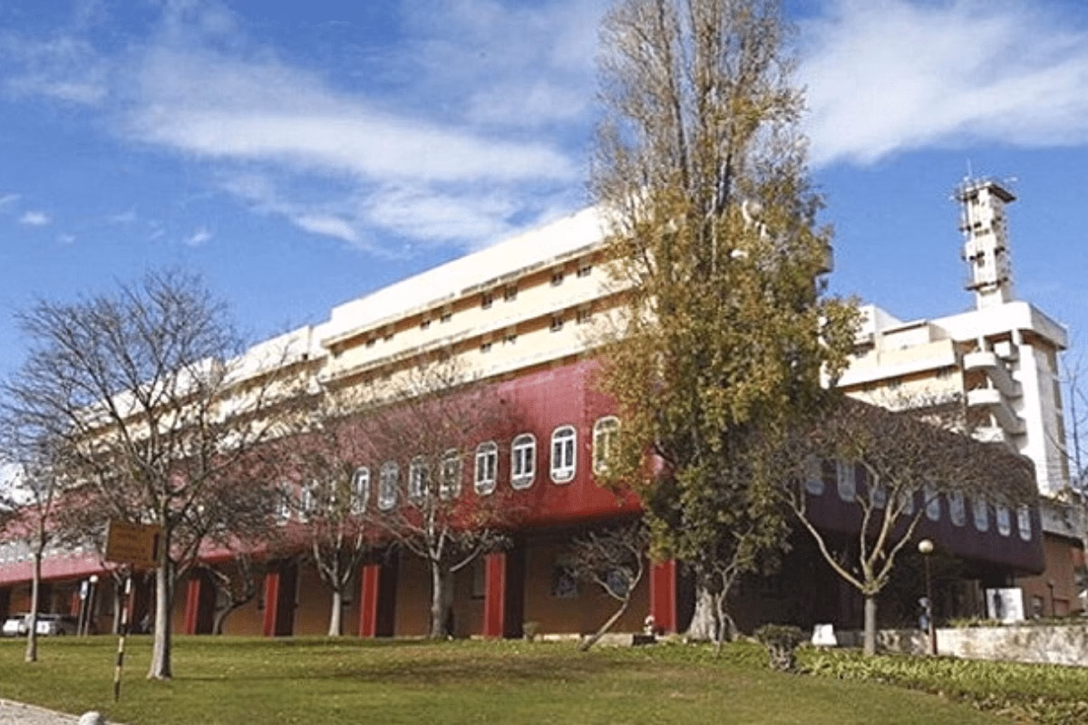 O que aconteceu com os cirurgiões do Garcia de Orta?