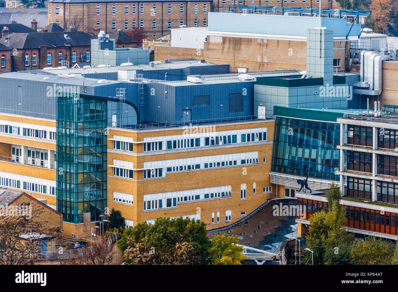 What happened to North London NHS Foundation Trust?