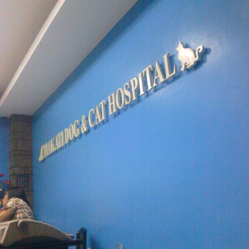 Where is Mega clinic located?