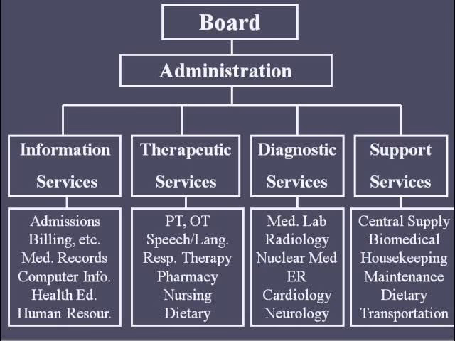 What is a hospital organizational structure?