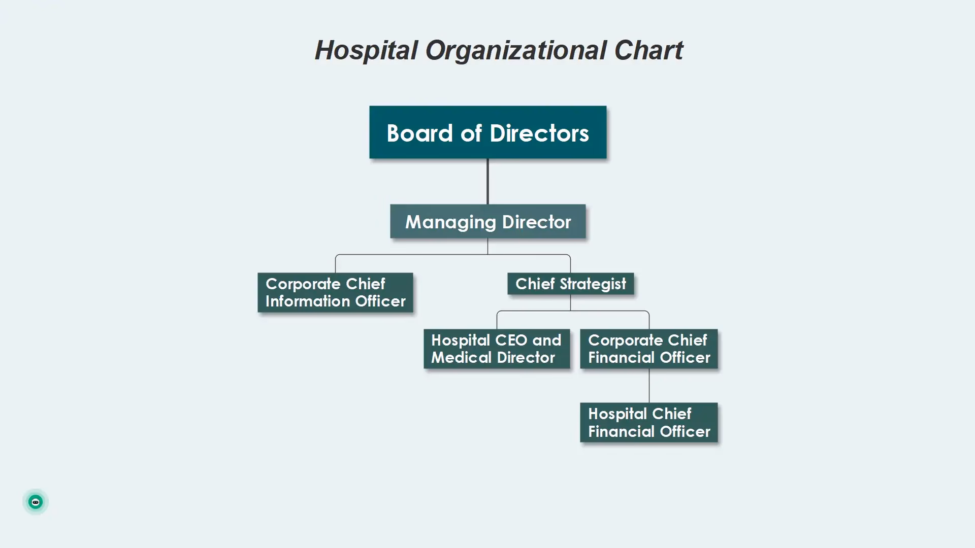 What organizational structures do hospitals use?
