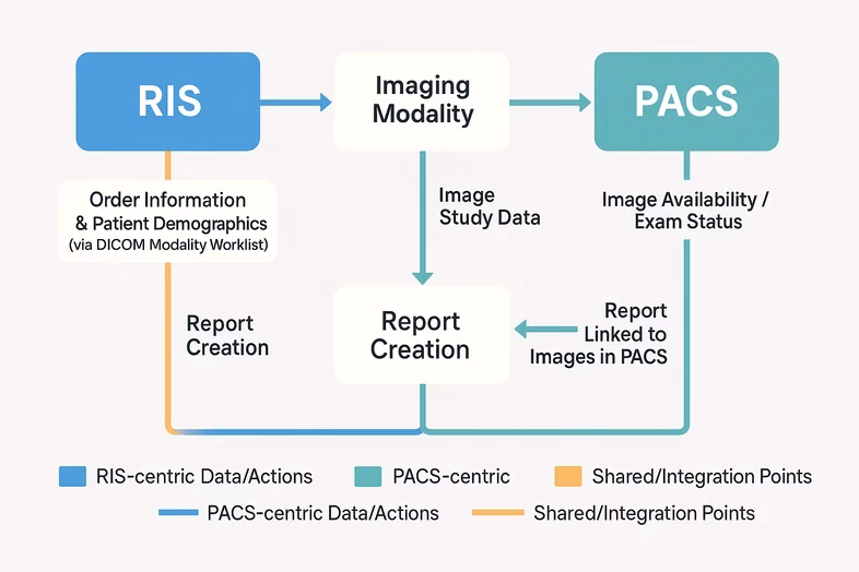 What is RIS & PACS in radiology?