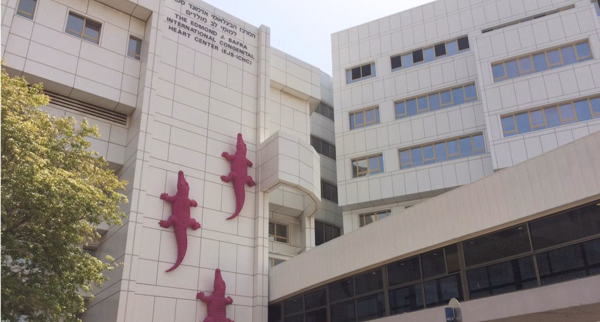 Why should you visit Tel Aviv Sourasky Medical Center (Ichilov)?