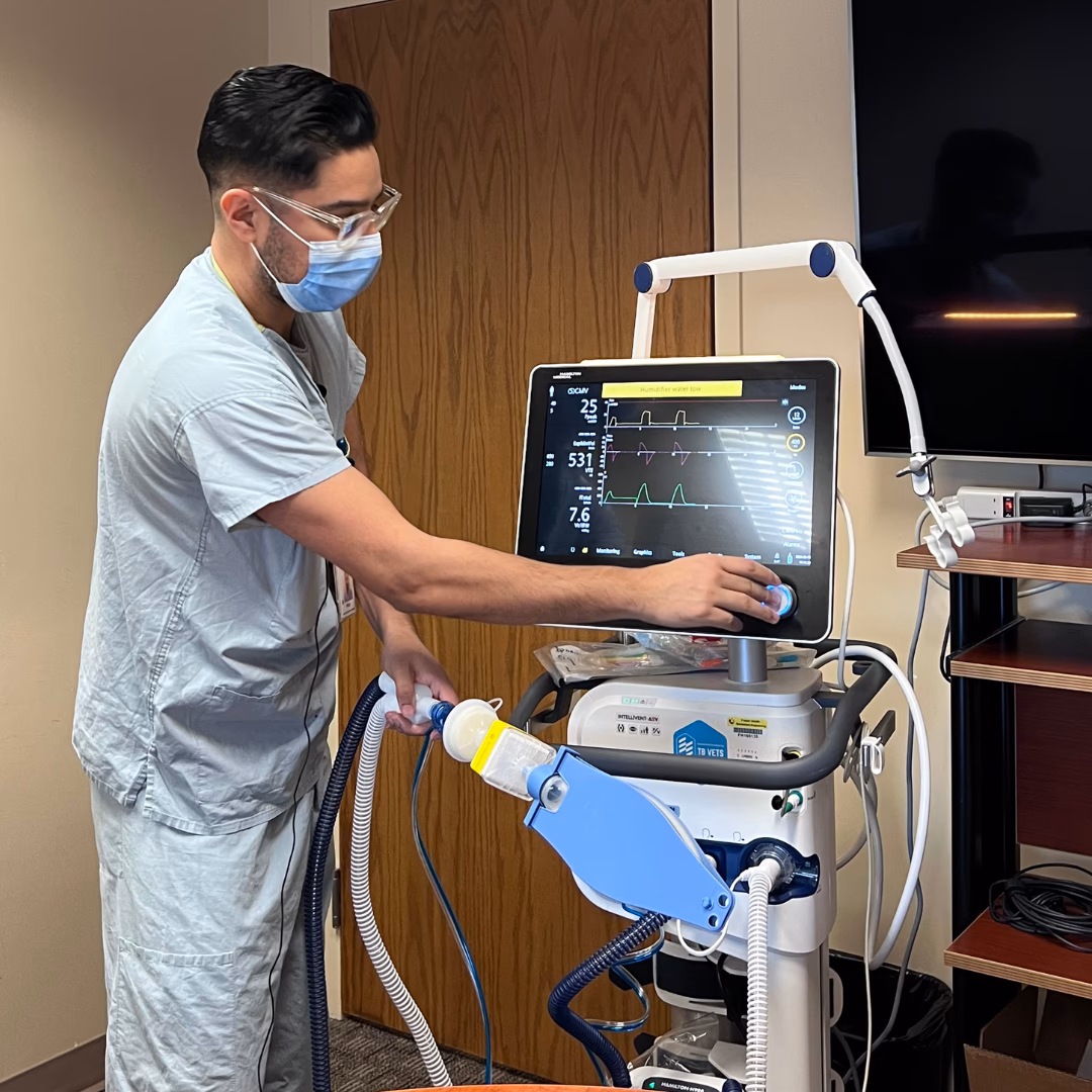 What are the different types of ventilators?