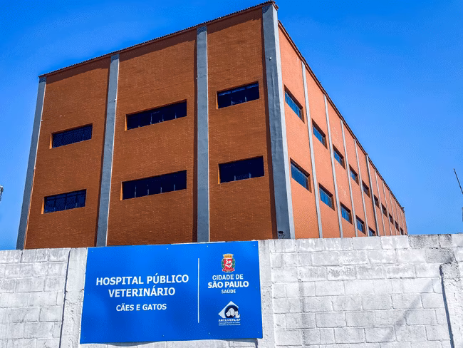 Como se candidatar ao Hospital Veterinário público Tatuapé?