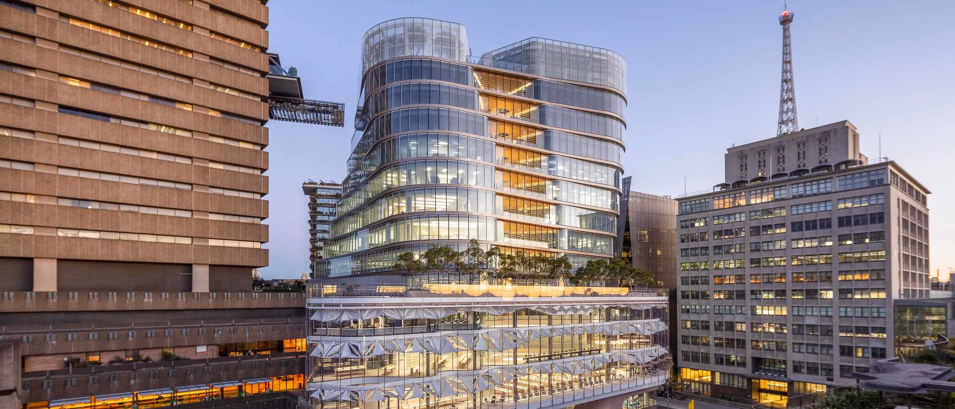 What can you do at aihm?