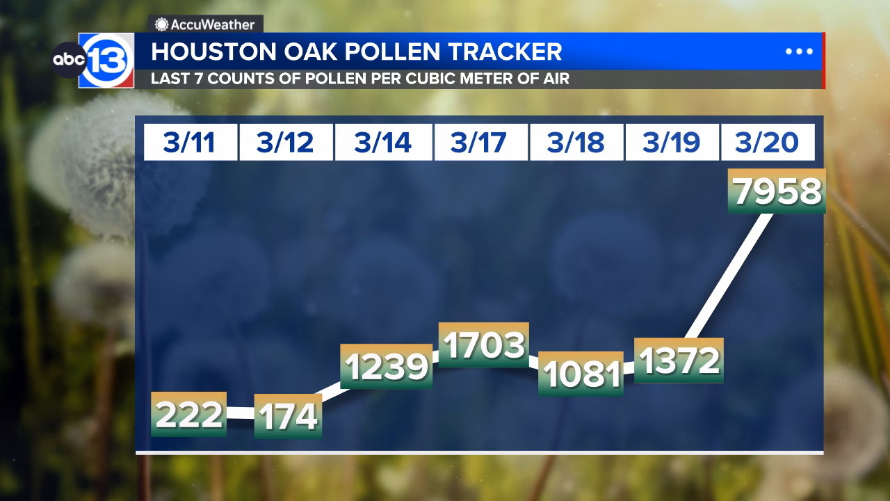 When is allergy season in Houston?