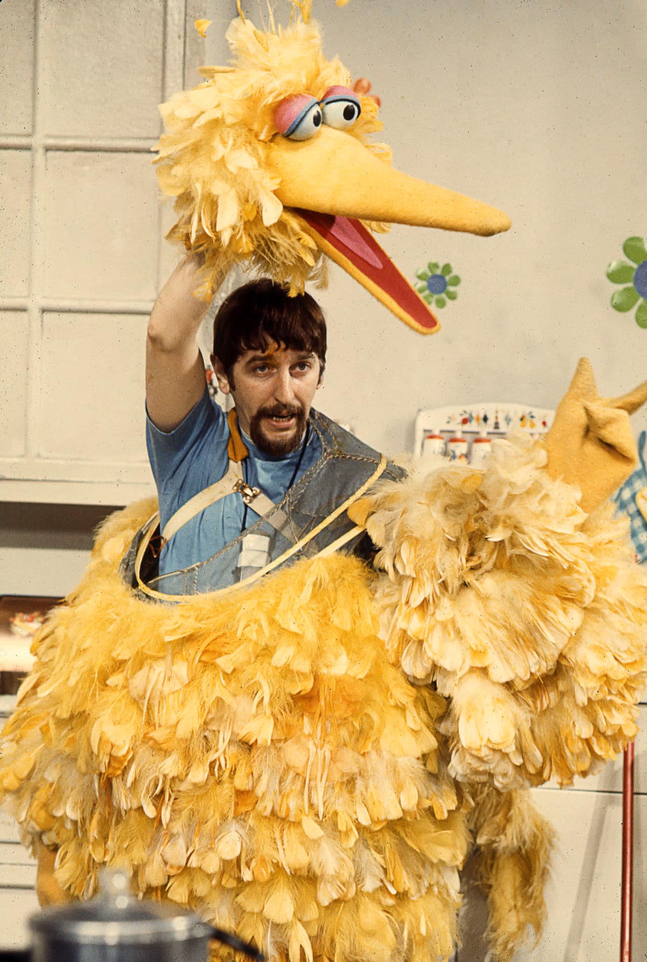 How does Big Bird work?