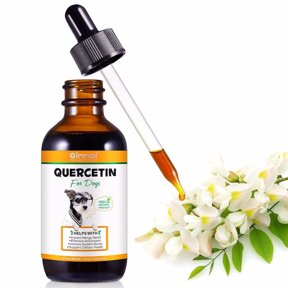 Can quercetin help with allergic rhinitis?