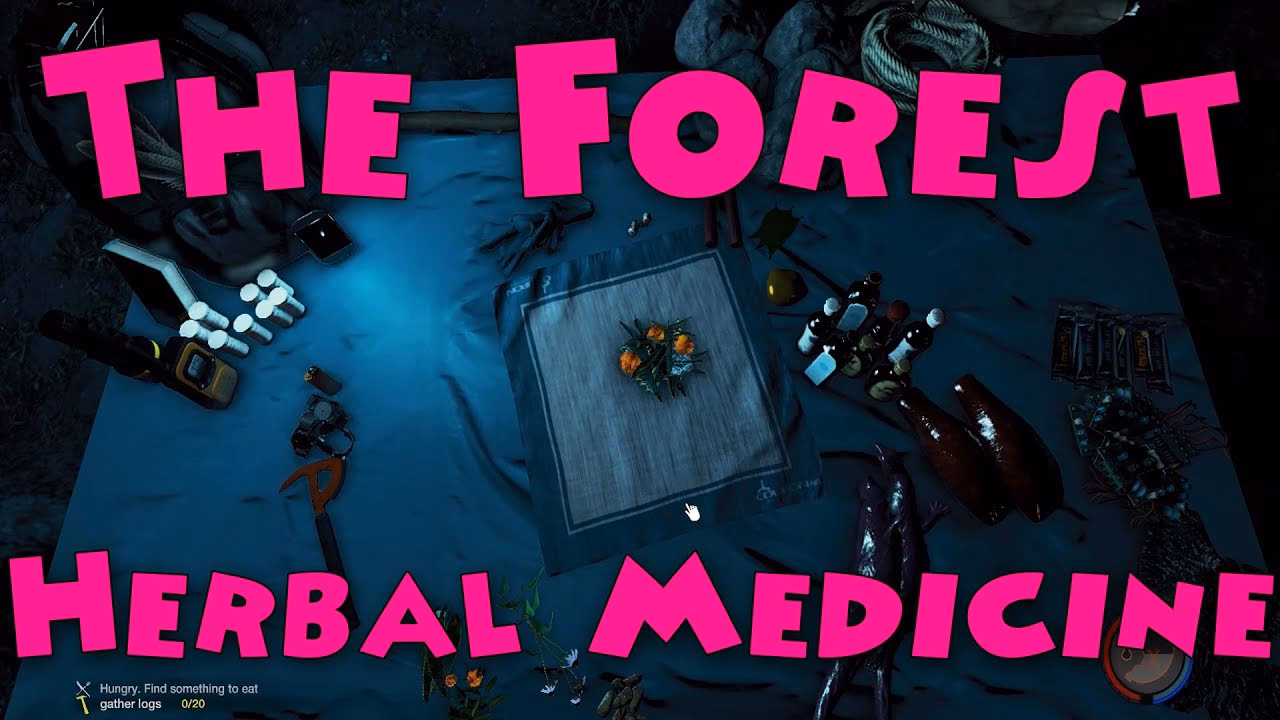 What is forest medicine?