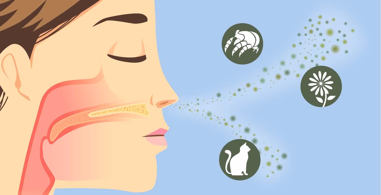 Do you have a fragrance allergy?