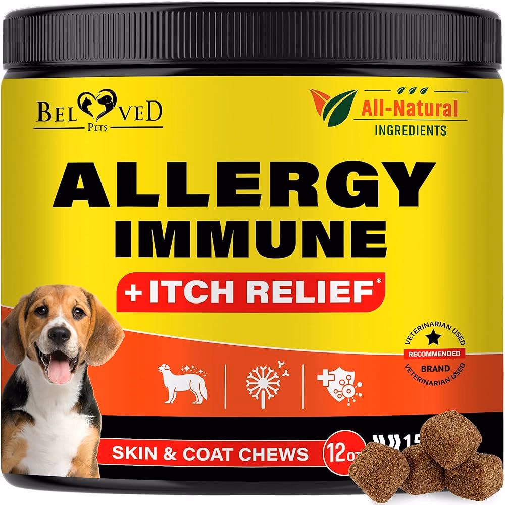 How do you treat dog allergies?