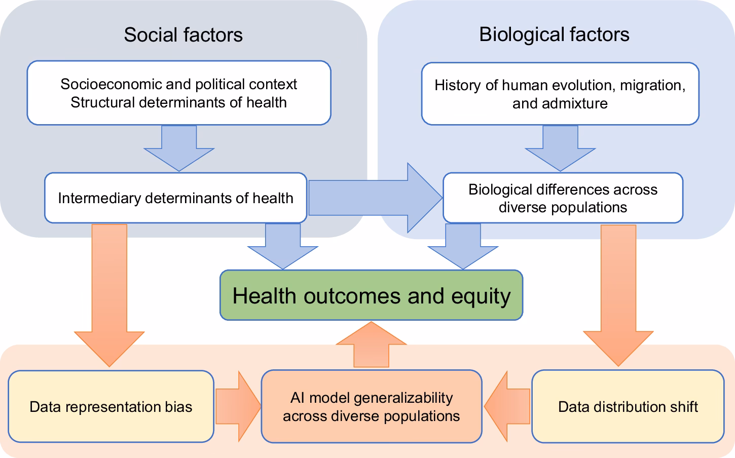 What is the SCImago Journal Rank (SJR) of human biology?