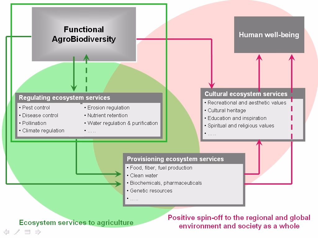 Who is humanwell narcotics company?