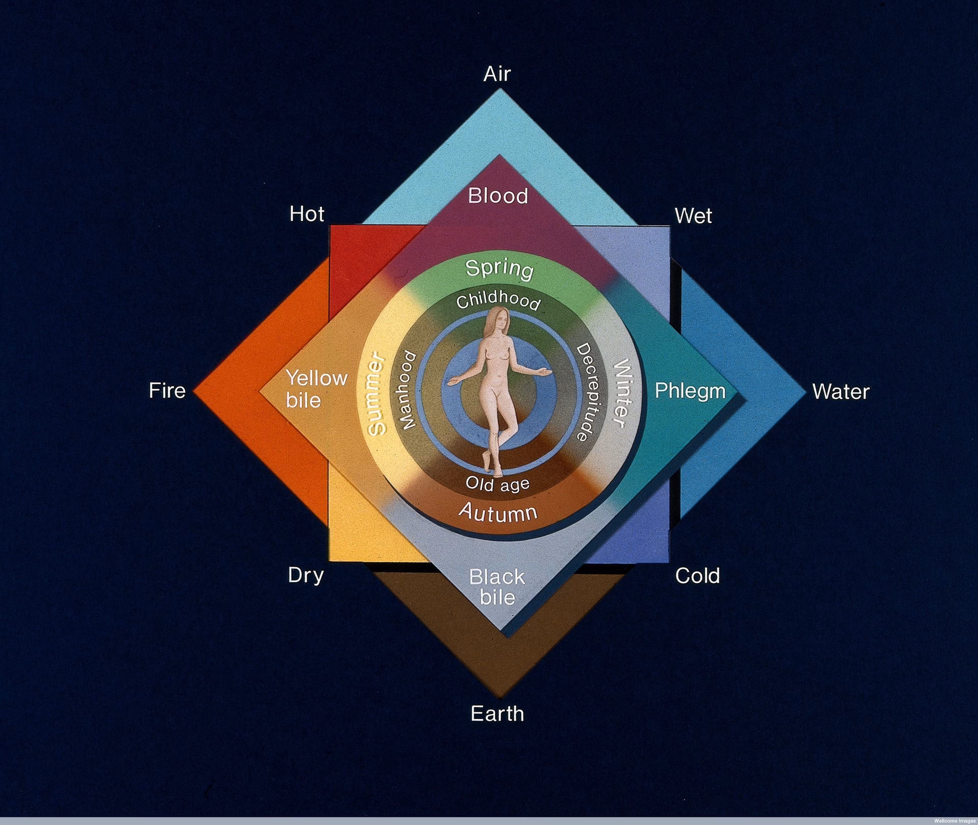 What is the concept of the four humors?