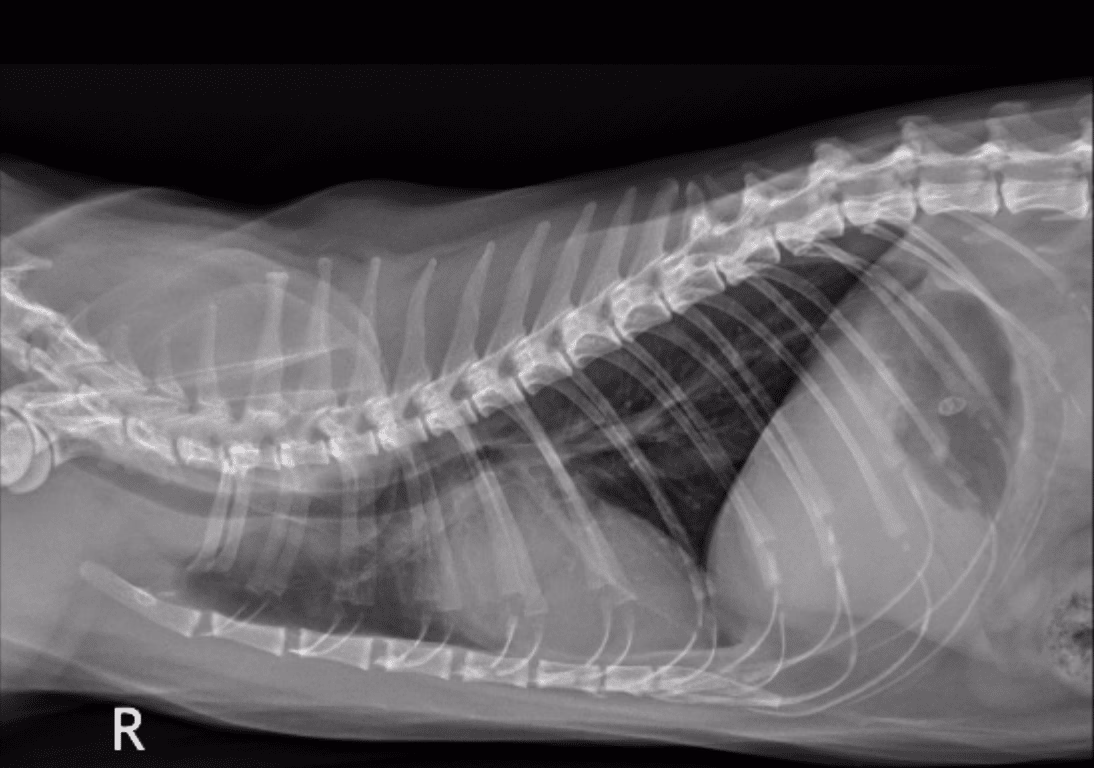What radiological imaging modalities are used to evaluate thyroid diseases?