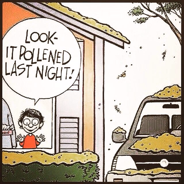 Are allergies really that bad?