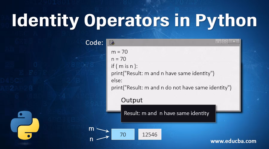 What are identity operators?