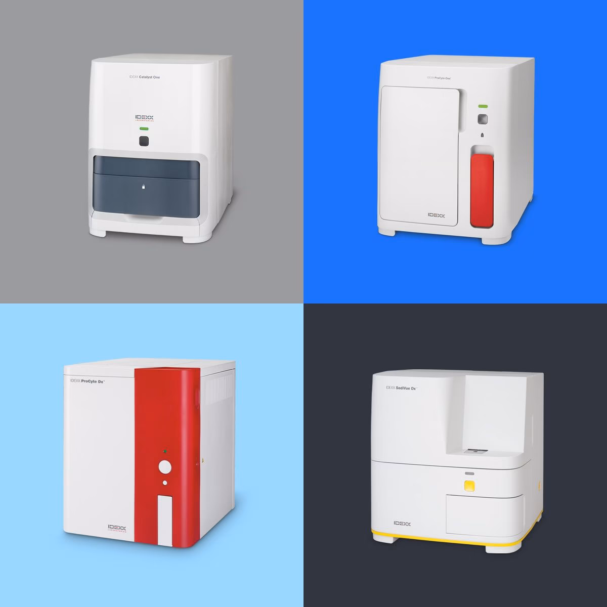 How do I order IDEXX lab tests?