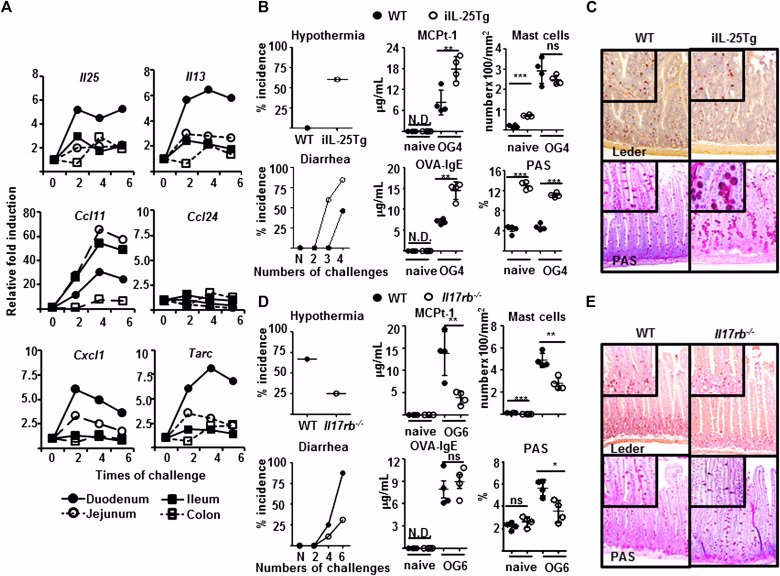 Which IL-25 emulsions are required for development of FA in EW & MCT-inoculated mice?