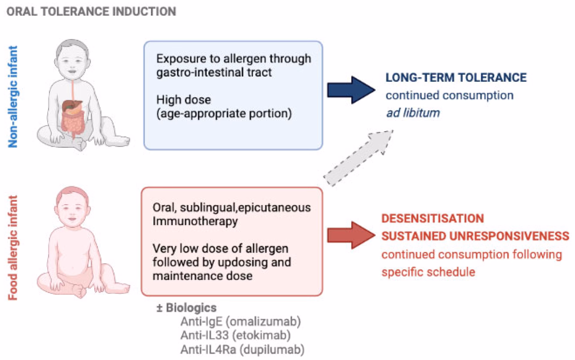 Is allergen immunotherapy effective for allergic rhinitis and Hymenoptera venom allergy?