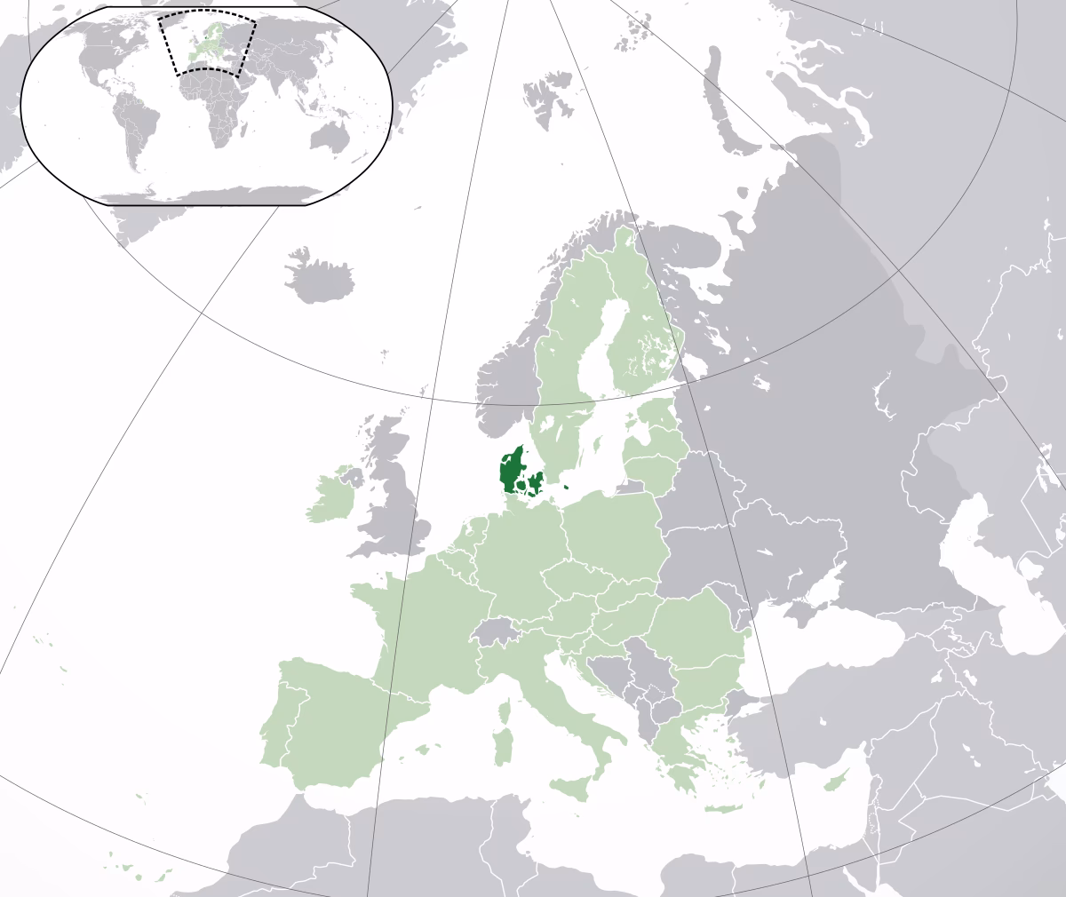 Who is Dansk Supermarked Group?