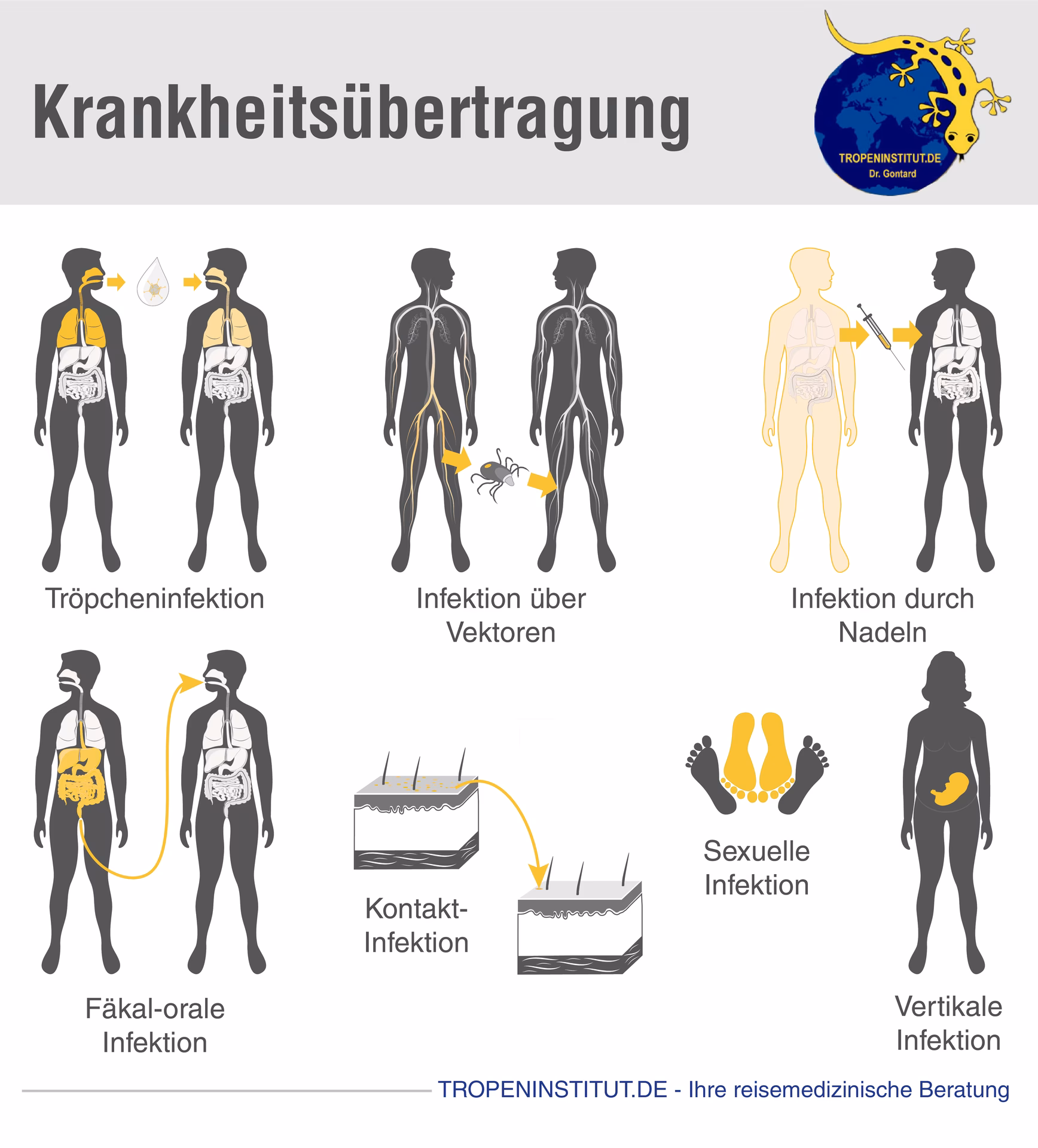 Wie viele Infektionen gibt es in Indien?
