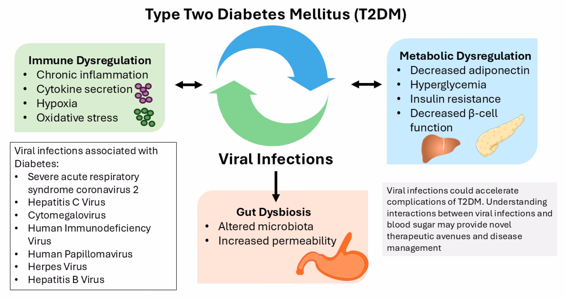 Which viral infections are associated with Type 2 diabetes?