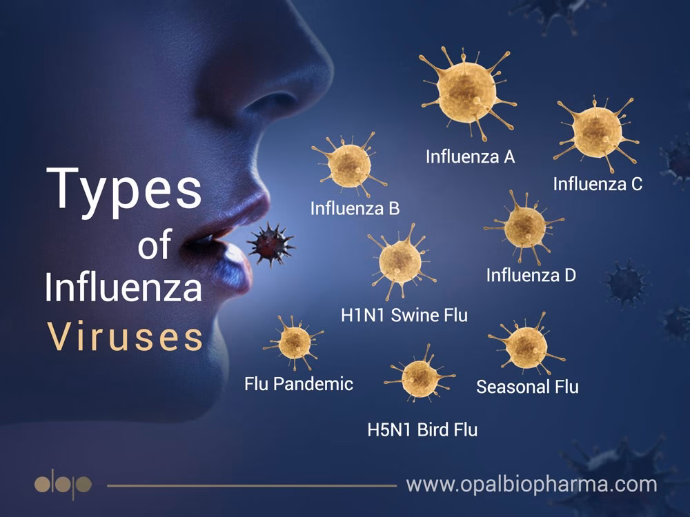 What type of disease is influenza?