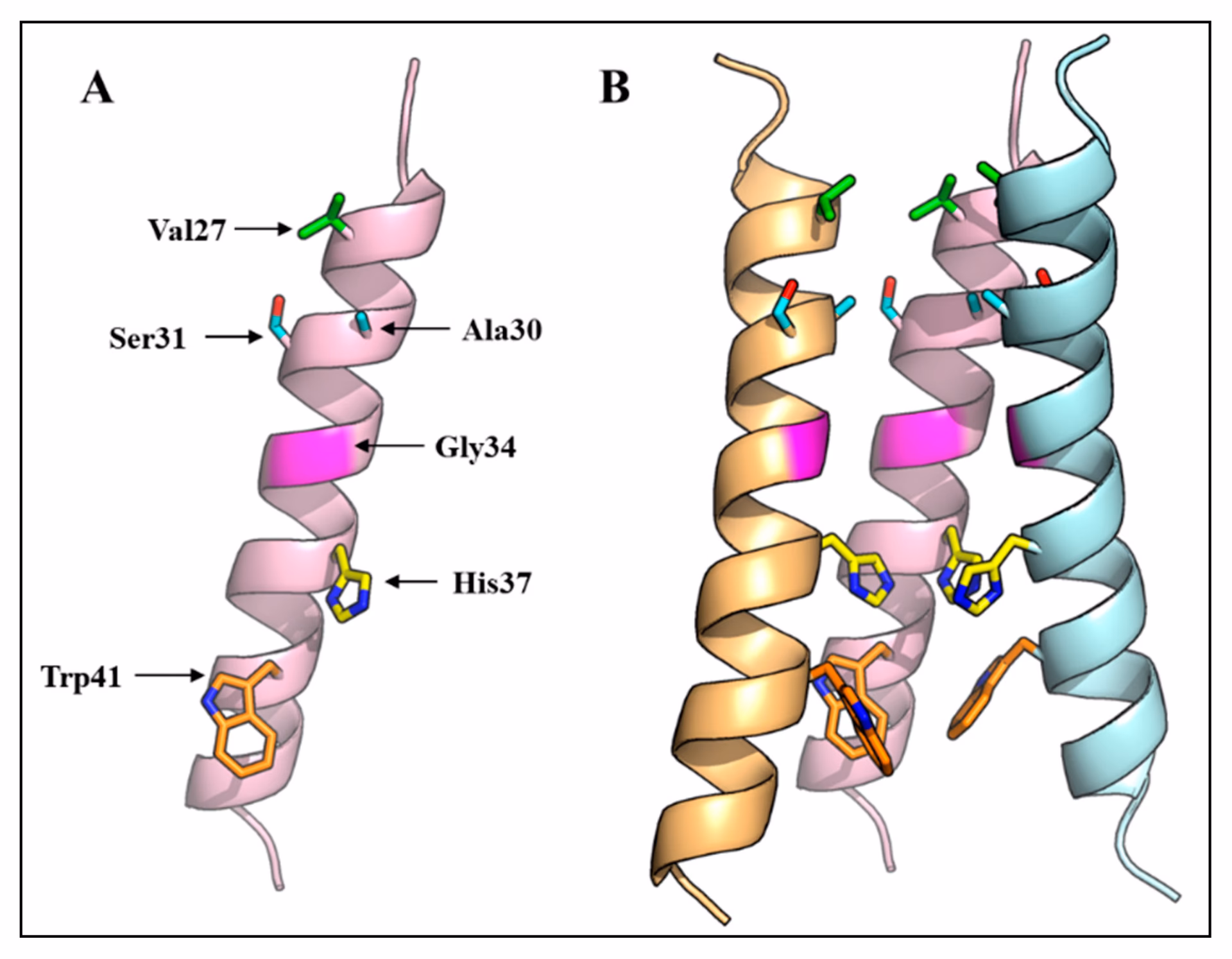 What is m2 of influenza A?