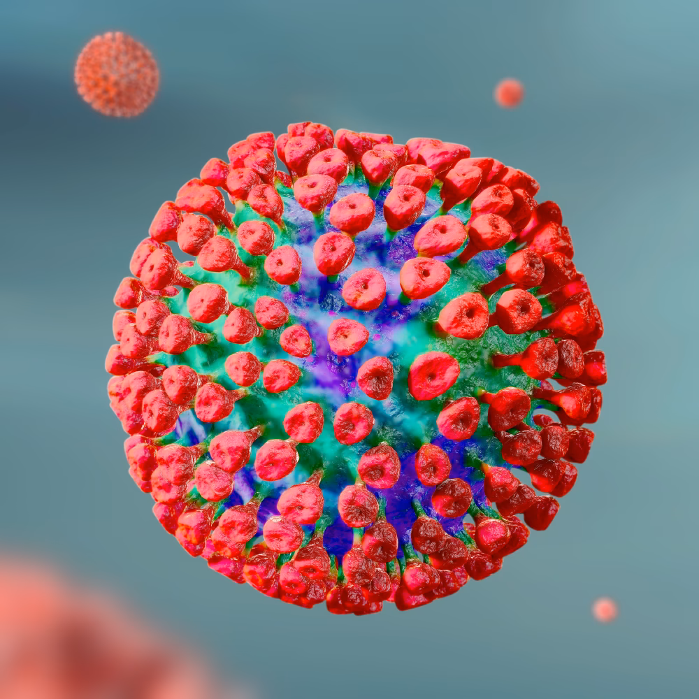 What viruses cause human parainfluenza?