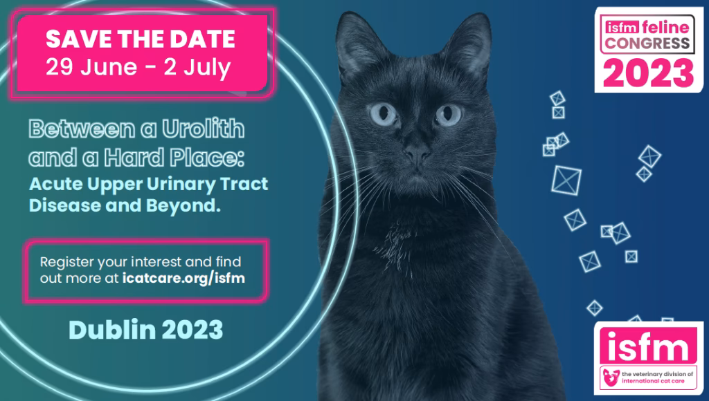 What is the Journal of Feline Medicine & Surgery?