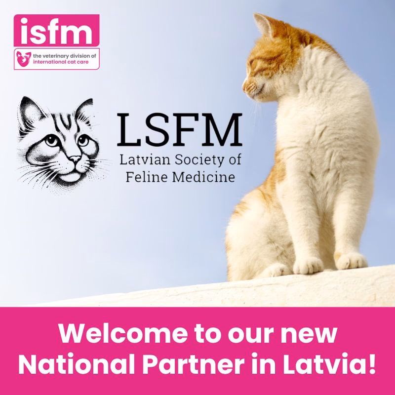 How do I follow icatcare Veterinary Society?