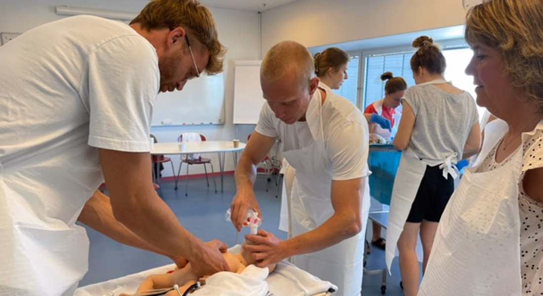 Where can I get a PhD in Denmark?